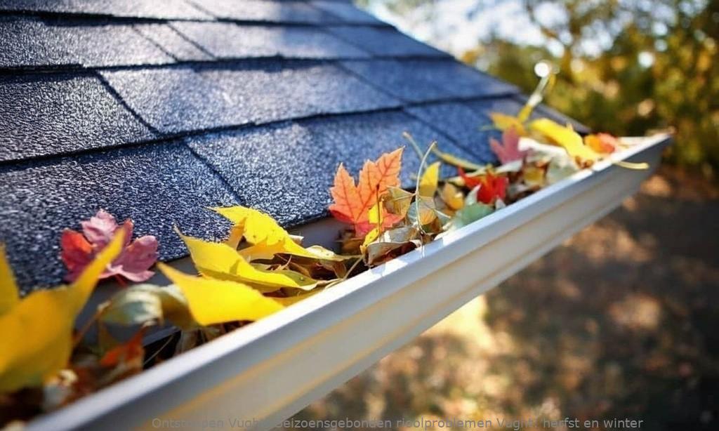Seizoensgebonden rioolproblemen Vught: herfst en winter